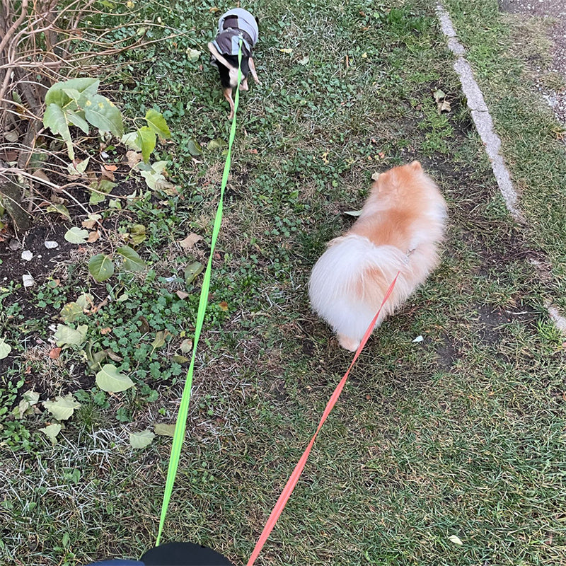 Retractable Dual Dog Leash – Reflective Pet Lead with 360° Swivel & Light