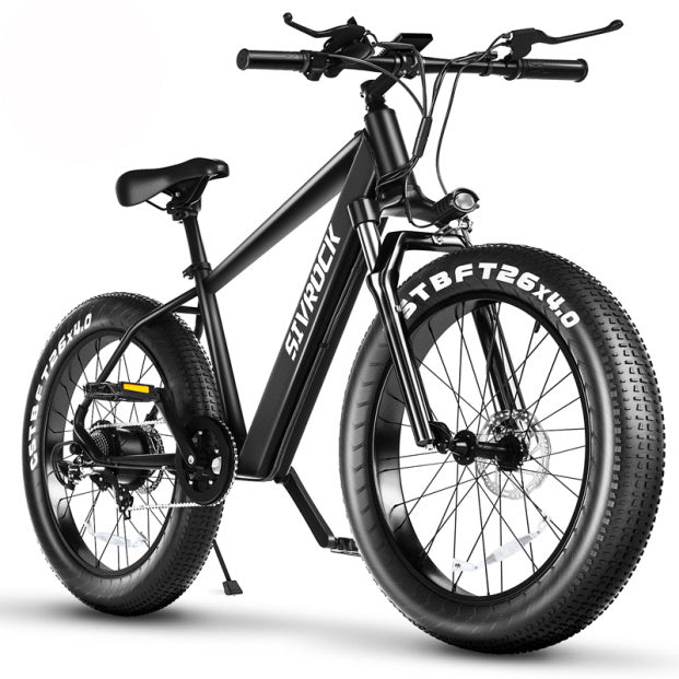 1000W Fat Tire Electric Mountain Bike