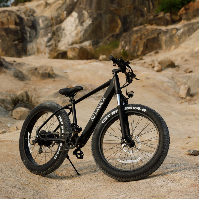 1000W Fat Tire Electric Mountain Bike