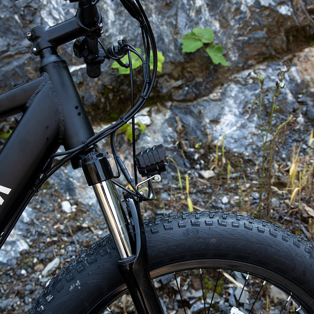 1000W Fat Tire Electric Mountain Bike