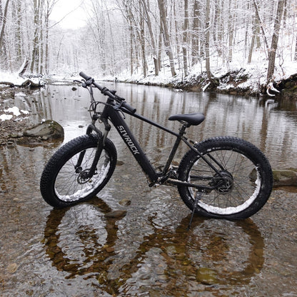 1000W Fat Tire Electric Mountain Bike