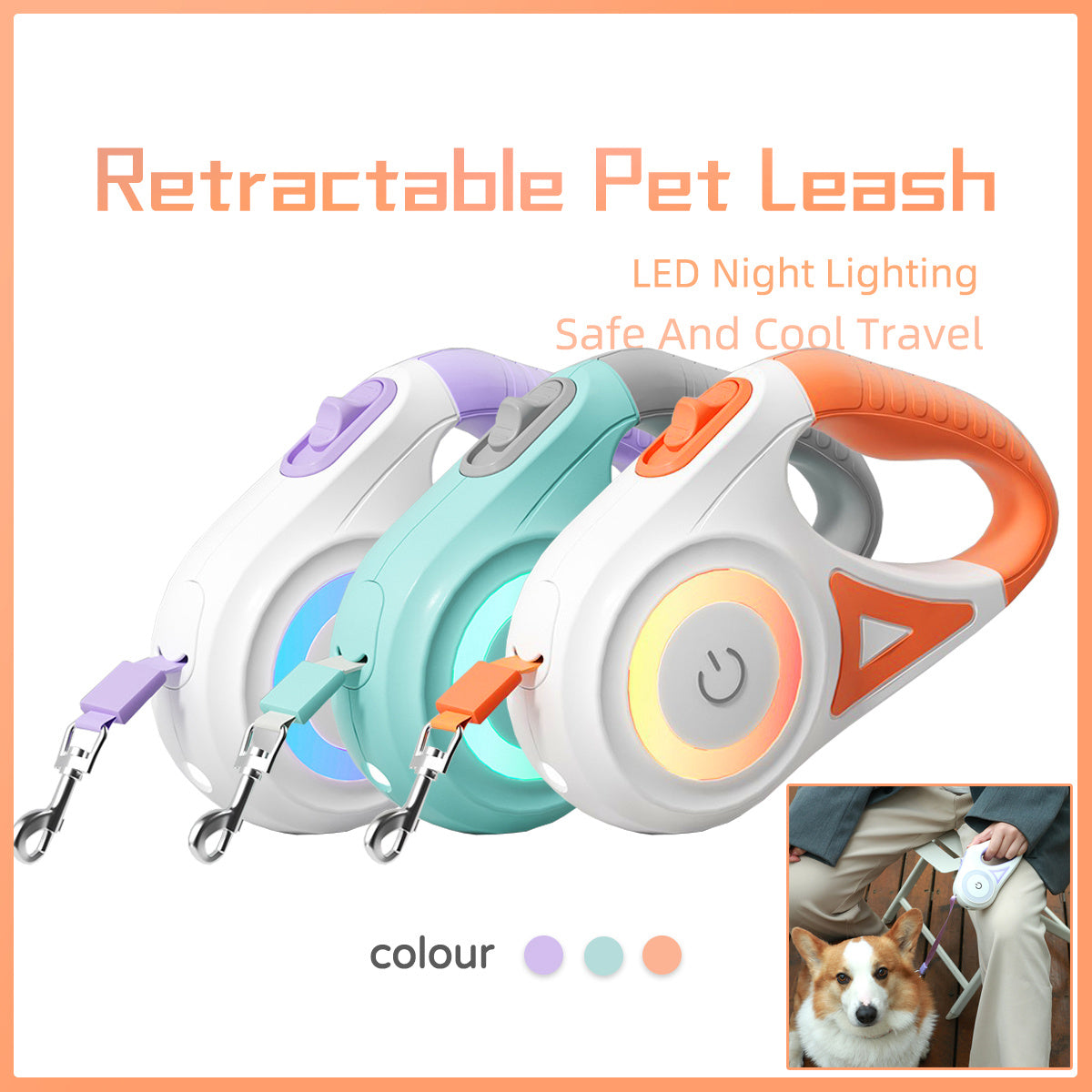 Retractable Dog Leash with Collar – Spotlight Automatic Pet Lead