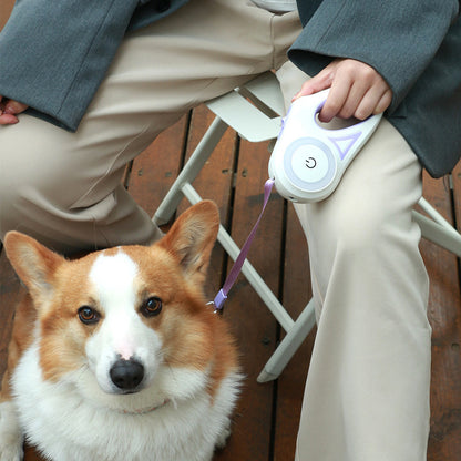 Retractable Dog Leash with Collar – Spotlight Automatic Pet Lead