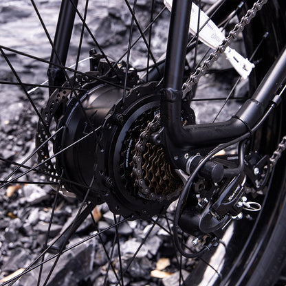1000W Fat Tire Electric Mountain Bike