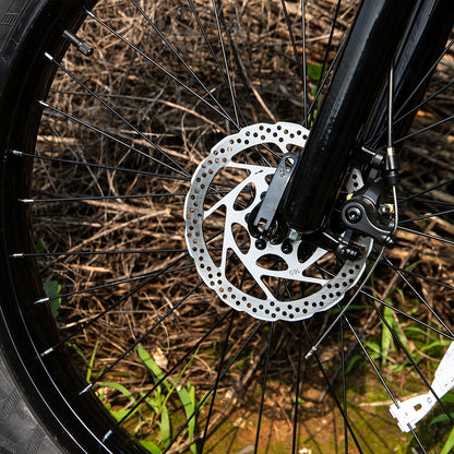 1000W Fat Tire Electric Mountain Bike