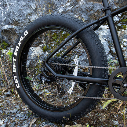 1000W Fat Tire Electric Mountain Bike